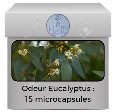 Boîte de 15 microcapsules odeur Eucalyptus