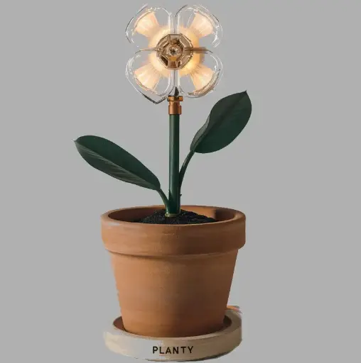 Planty Modèle L (35cm)